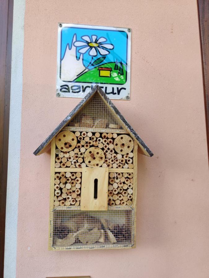 Willa Agritur Leita Tuenno Zewnętrze zdjęcie