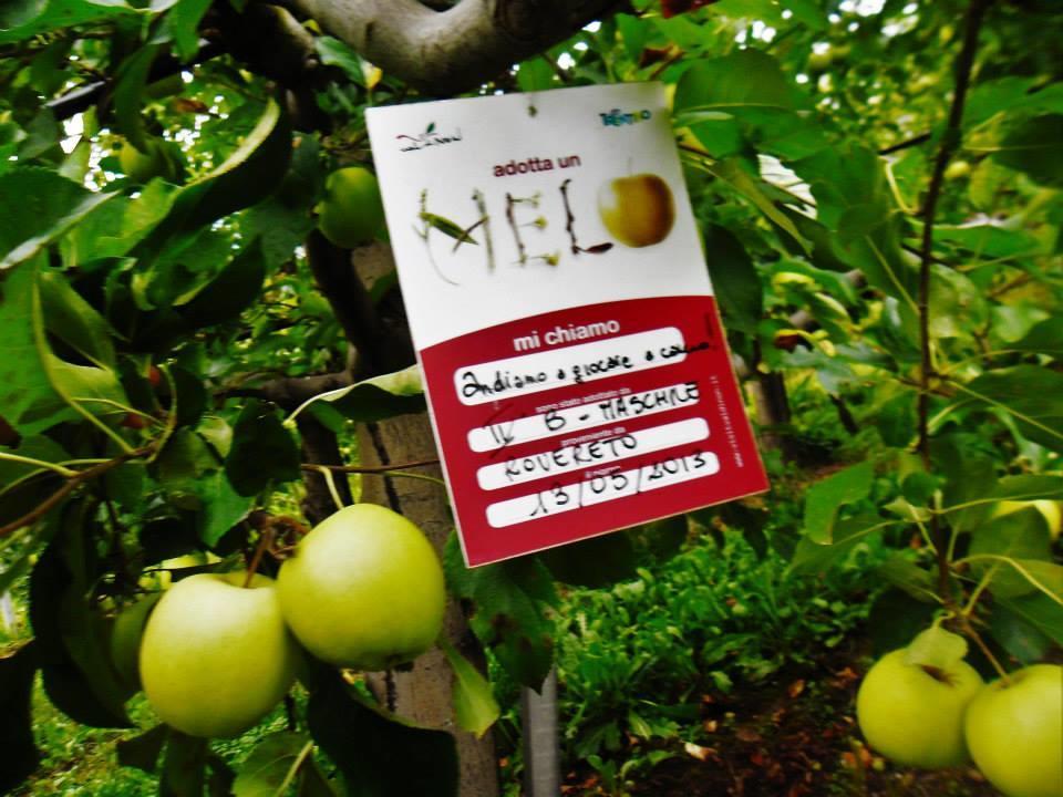 Willa Agritur Leita Tuenno Zewnętrze zdjęcie