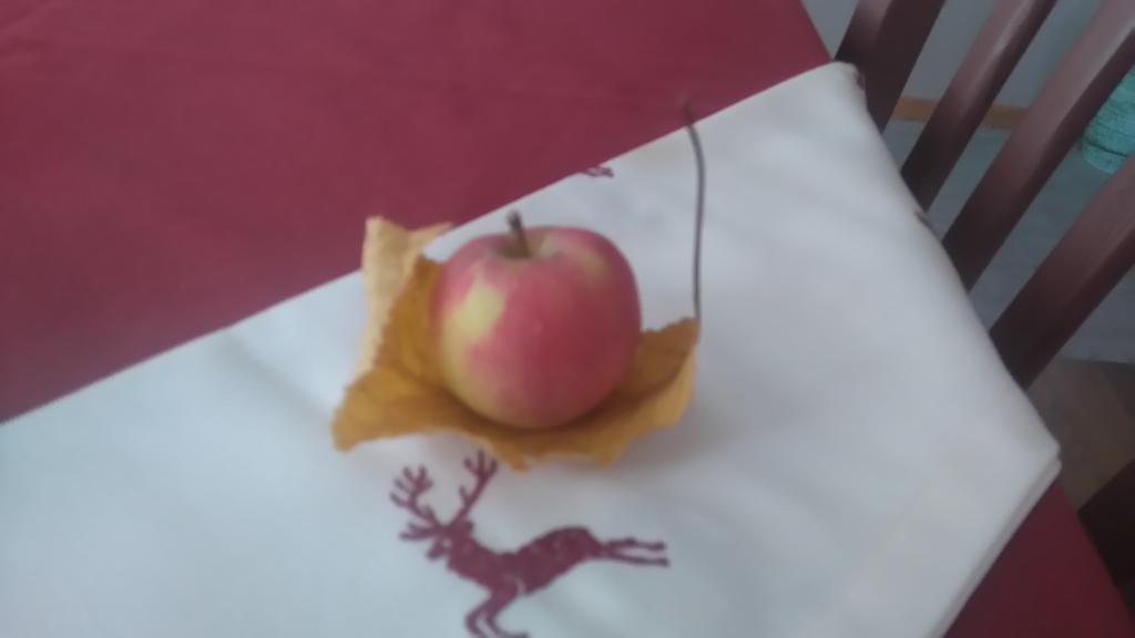 Willa Agritur Leita Tuenno Zewnętrze zdjęcie